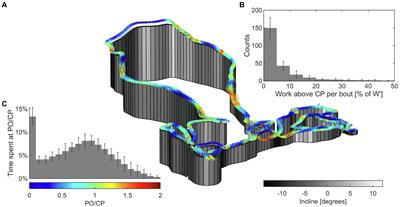 Exercise Intensity and Pacing Pattern During a Cross-Country Olympic Mountain Bike Race